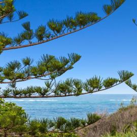Surfside Apartment 11 by Kingscliff Accommodation