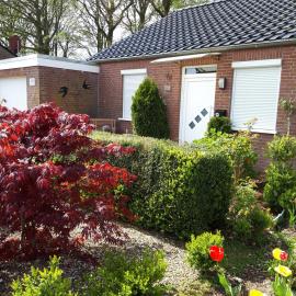 Schwalbennest Ostfriesland
