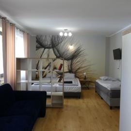 Apartament Centrum