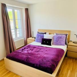 Gasthaus Hirschen Mandach by perfect lifestyle: Böttstein şehrinde bir otel