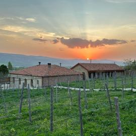 Peradze Wine Cellar Vineyard Cottages, hotel in Khidistʼavi