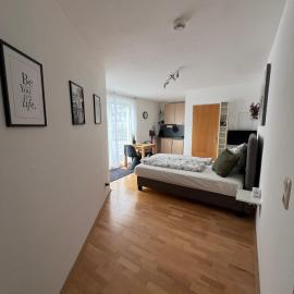 Sonniges zentrales Apartment