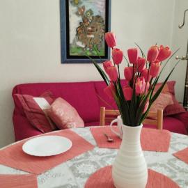 Casa Rosy
