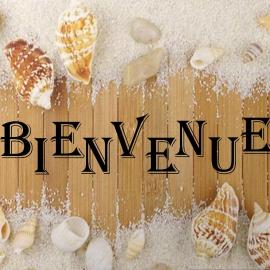 Mobil home proche du paradis des plages