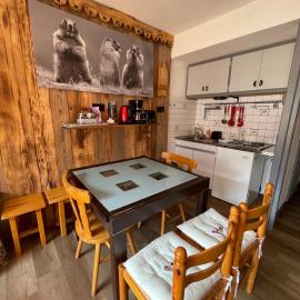 Appartement 4 à 6 P proche télécabine et centre, hotel i Champagny-en-Vanoise