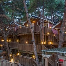 Hoengseong Pine Bell Pension, hotel v destinácii Hoengseong