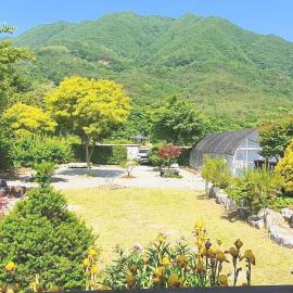 danyang deulggochyanggi, hotel i Danyang