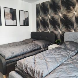 Ferienwohnung im Harz 1