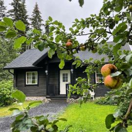 Tunnelmallinen ilmastoitu järvenrantahuvila, hotell sihtkohas Saarijärvi