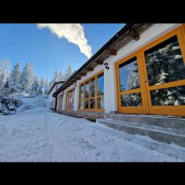 Winter Forest Vlasic