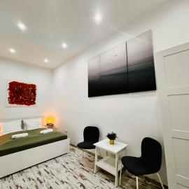 Quiet Luxury Apartment with 2 rooms in the City Centre BB