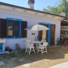 Loft immerso nel bosco