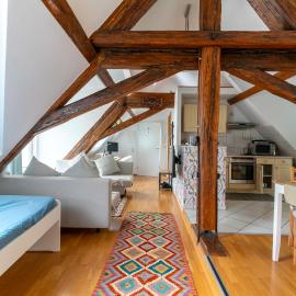 Dachwohnung am Schlosspark, hotel in Wiesbaden