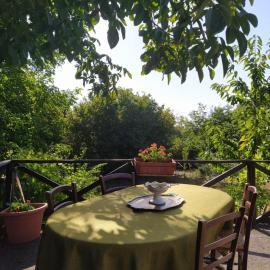 La Rosa antica dell'Etna, hotel i Puntalazzo