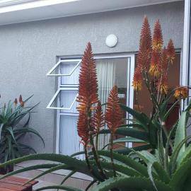 Lourie garden cottage