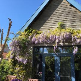 Vakantiewoning De Lotus