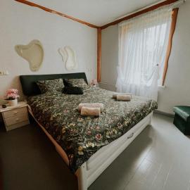 Family or Group Apartment in Talsi Center、タルシのホテル
