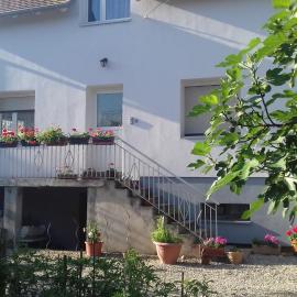 Gite le figuier de l'ill, hotel in Sélestat