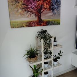 Apartamento Plaza Palmeras, hotel in Burjassot