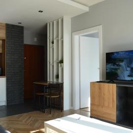Apartment Sosnowiec City - Free Parking - easy check-in، فندق في سوسنوفييتس