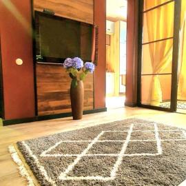 LOFT in Down Town, hotel in Dnipro