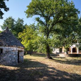 Apartman Jala