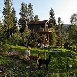 Fjellgla tretopphytte: Holo şehrinde bir otel