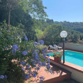 Le Casacce Case per Vacanze