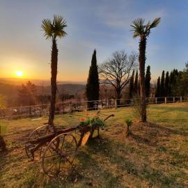 Villa el Pavo Real Arezzo