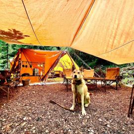Shirasu-Ojiro FLORA Campsite in the Natural Garden - Vacation STAY 70013v, Hotel in Shirasu