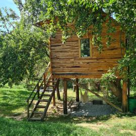 Apple Tree Cabin (Friendship Land): Şelari şehrinde bir otel