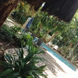 Ella villa negril, hotel i Negril