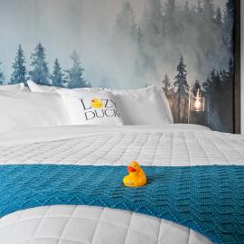 Lazy Duck Inn