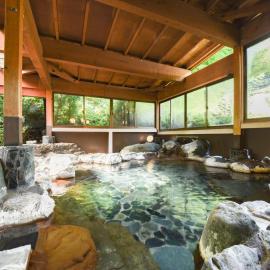 Iwazonokan, hotel in Minami Alps