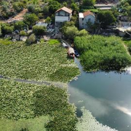 Apartments Nikola