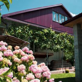 Guest House Melissa, hotel en Duisi