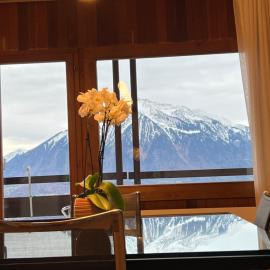 Villa Alexa, hotel u gradu Zigrisvil