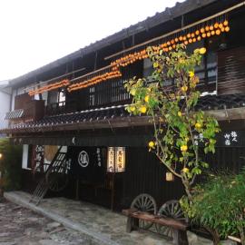 Tajimaya, hotel in Nakatsugawa