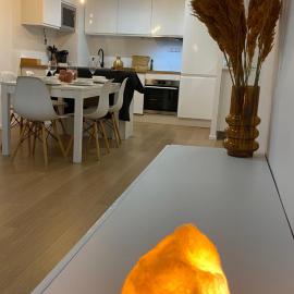 Nice and cosy flat near Geneva or Annecy, hotel u gradu Belgard sur Valserin