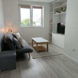 Appartement entier F3 rénové - Petite pause à Sélestat、セレスタのホテル