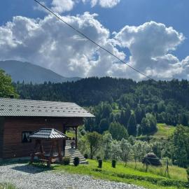 CABANA MERISORULUI