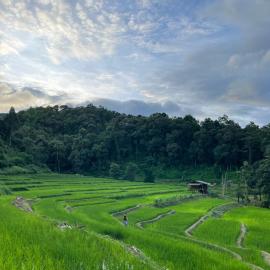 Chibacall ชิบะคอล Karen Mountains Hideaway Homestay, отель в Чиангмае