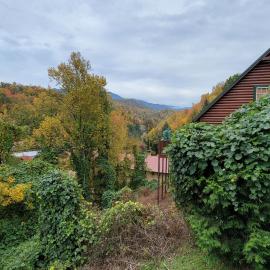 Smoky Heights Overlook, Luxury Log Cabin, Mountain & City Views, hotel in Gatlinburg