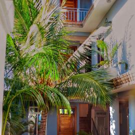 Mangi Mangi Accomodation