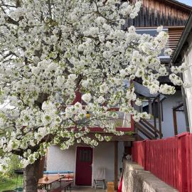 Solnhofen में, होटल Obertraum Appartement und Ferienwohnung
