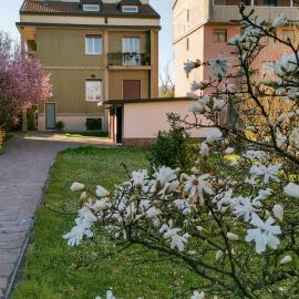 Family House Baggio - appartamento a Milano