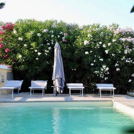 Villa Nina - Lussuosa Villa con piscina privata a Stintino