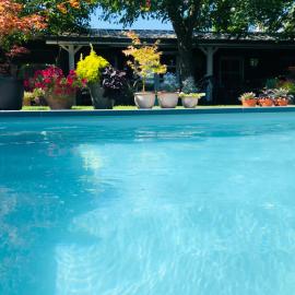 B &B Yuupke Maasbree Noord-Limburg Venlo Roermond、Maasbreeのホテル