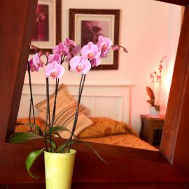 Chez Madame Cailleau, hotel v destinácii Houlgate