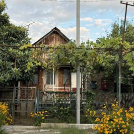 cottage in Chakvi, hotel in Chakvi
